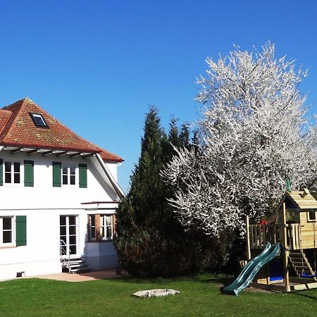 Schwarzwaldhaus24 - Ferienhaus Mit Sauna, Whirlpool Und Kamin Gemeinde Gemeinde Aichhalden Exteriör bild